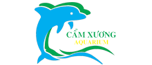HỒ CÁ CẢNH CẨM XƯƠNG II