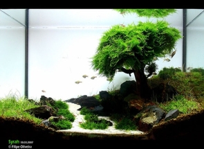  Sắc Màu Cuộc Sống