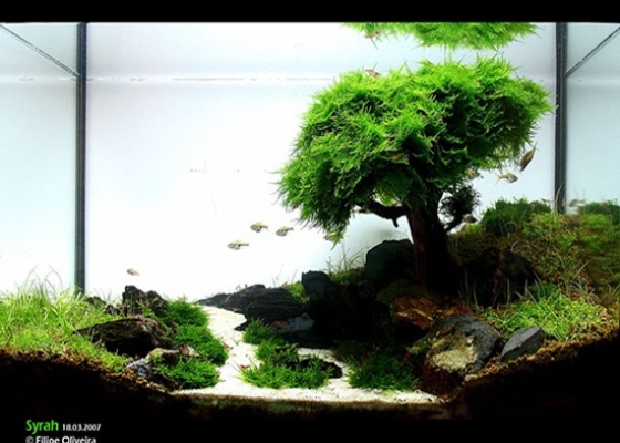 Sắc Màu Cuộc Sống