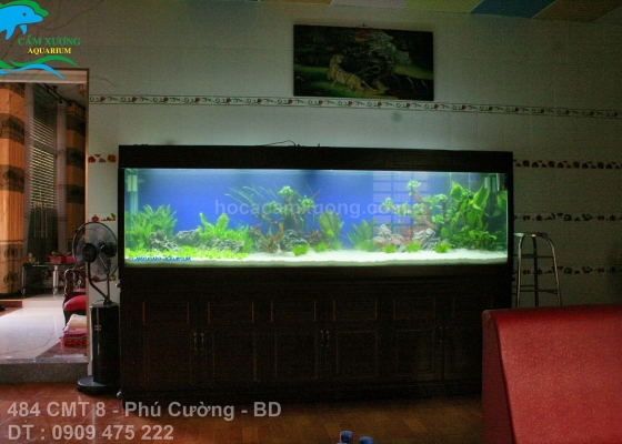 HỒ THỦY SINH DÀI 2m80x80x90