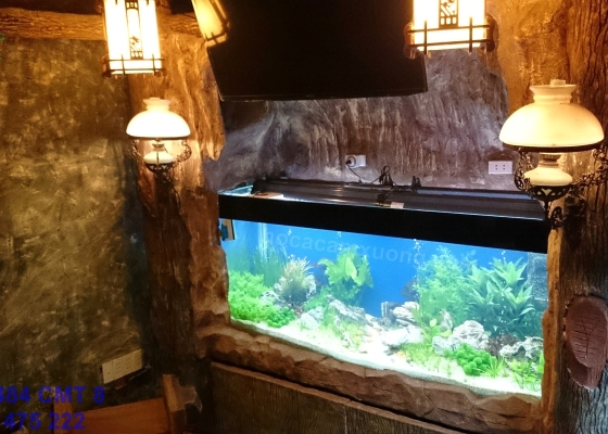 HỒ THỦY SINH DÀI 1m98 x69 x88