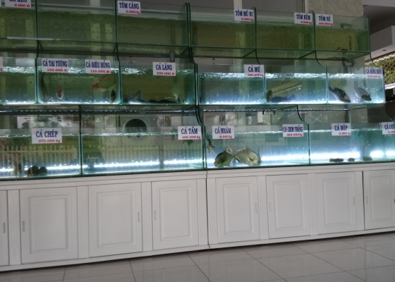 HỒ HẢI SẢN TẠI NHÀ HÀNG ẨM THỰC PHI LONG 