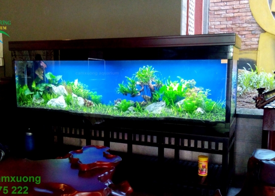 HỒ THỦY SINH DÀI 2m40x60x80