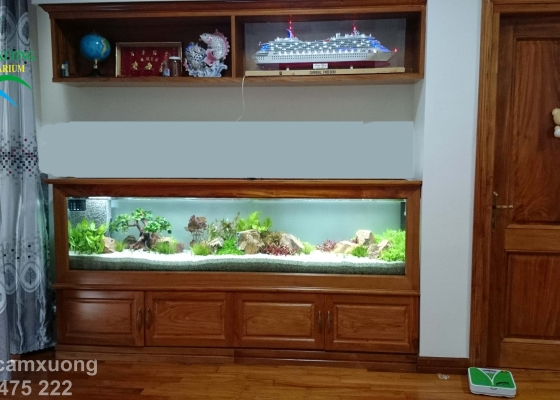 HỒ THỦY SINH DAI 2m48 x35 x60