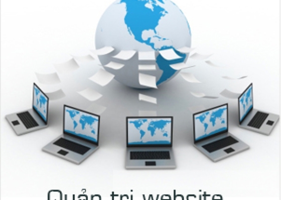 Kinh nghiệm lựa chọn dịch vụ quản trị web chuyên nghiệp tại Hồ Chí Minh