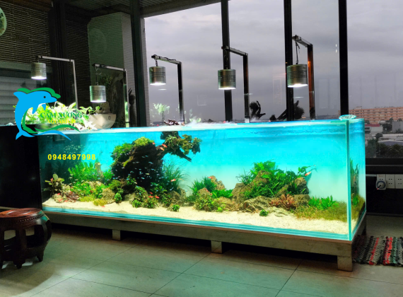 Bể kính công dài 1m4x50x80 dạng trang trí thủy sinh giả