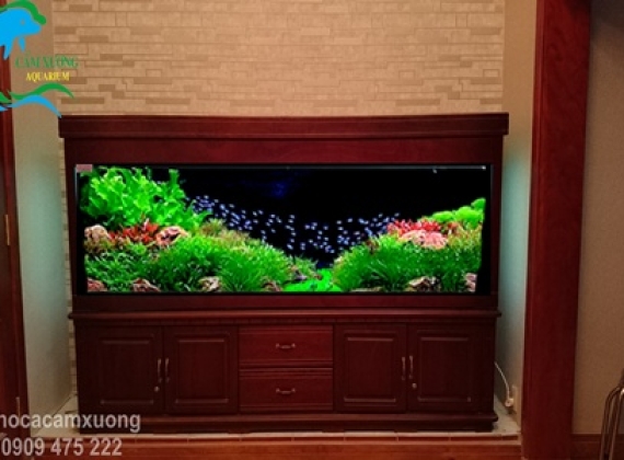 HỒ THỦY SINH DÀI 2m40x60x80
