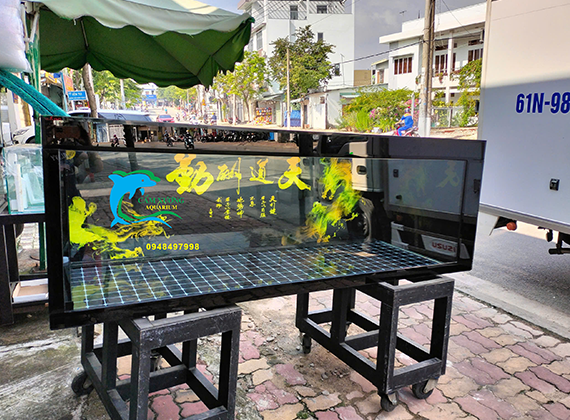 Hồ cá rồng lọc đáy  Dài 1m98x68