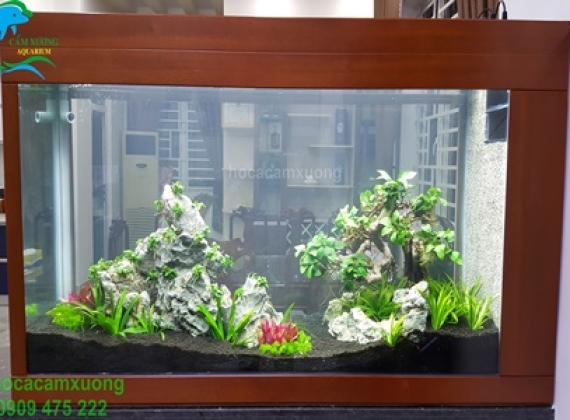 Hồ Thủy Sinh - A Sang ( Hiệp Thành 3 đường 11)