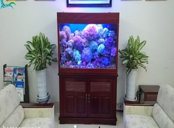  Bộ Hồ Cá Biển Dài 1m28 x 48 x 69 dạng tủ gỗ căm xe