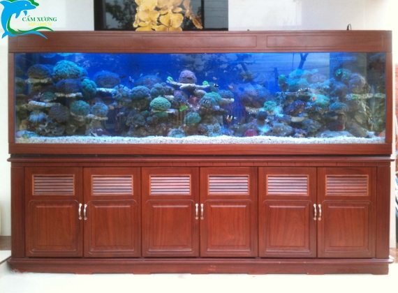 Bộ hồ cá biển dài 2m70x70x88 dạng tủ gỗ căm xe