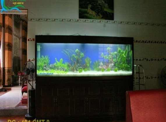 Bộ hồ thủy sinh dài 2m80x80x90 dạng tủ gỗ cămxe
