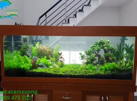 Bộ Hồ Tủ dài 2m x 60 x 80 ( Trang trí thủy sinh )