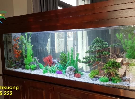 Bộ Hồ Tủ dài 2m x 60 x 80 ( Trang trí thủy sinh giả )