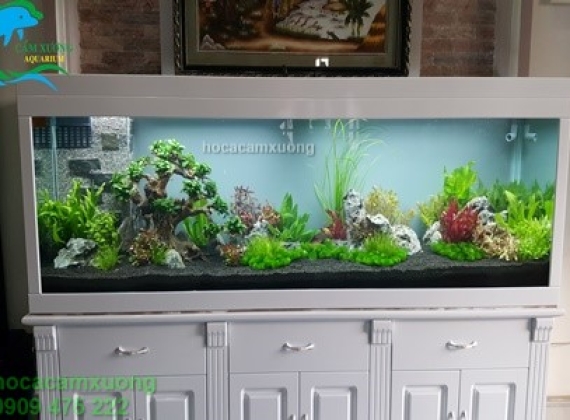 Bộ Hồ Tủ Trắng dài 2m x 60 x 80 ( Trang trí thủy sinh )