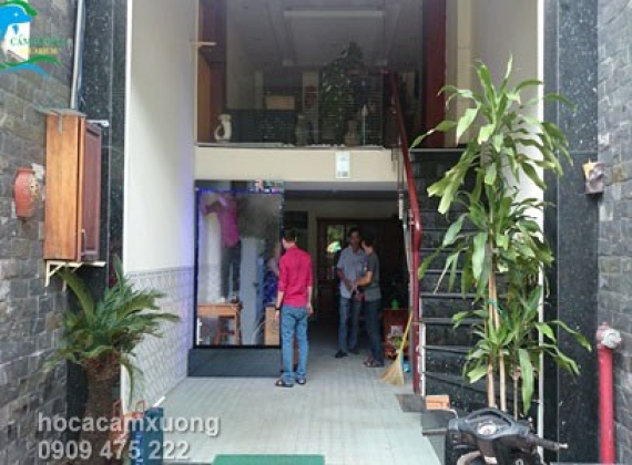 Thác nước trên kính 1m2 x 2m2 