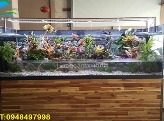 Hồ Bán Cạn 2m x 70 