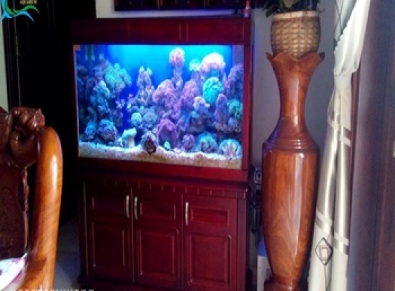 Hồ Cá Biển dài 1m46x 42xcao tổng cộng 146
