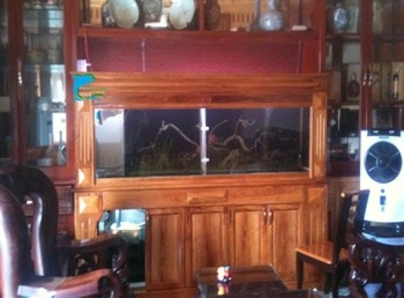 Hồ Cá Rồng (2m40x60x80)