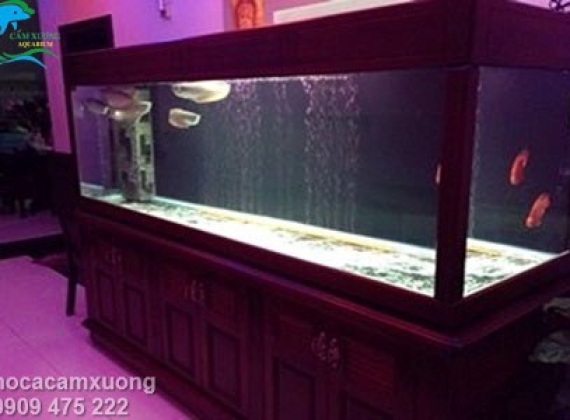Hồ Cá Rồng - Anh Trí - Bình Phước
