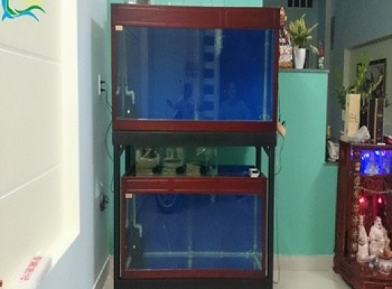 Hồ Cá Rồng - Anh Thành - Hiệp Thành 2