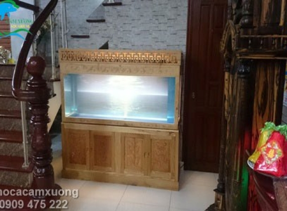 Hồ Cá Rồng - Anh Hoàng Khu Dân Cư Chánh Nghĩa