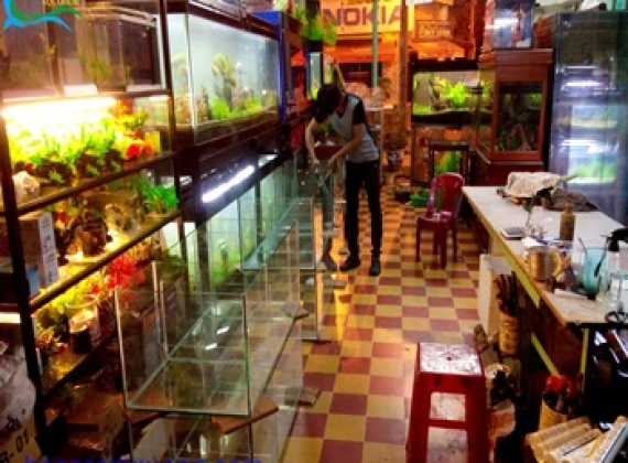Hồ Cá Rồng - Hình ảnh đang thi công 3