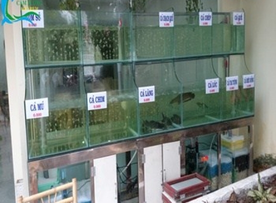 Hồ hải sản dài 3m20 x 1m75 với 10 hồ chứa hải sản 