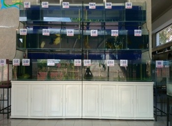 Hồ hải sản dài 4m20x2m35 với 16 hồ chứa hải sản