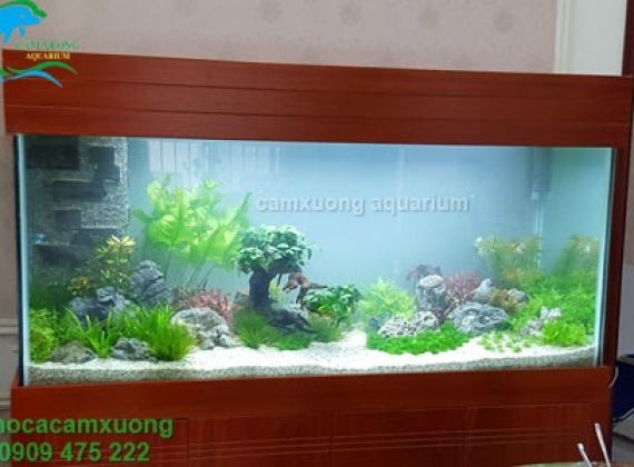 Hồ Thủy Sinh - Thầy Hiếu Phú Hòa 1 BD