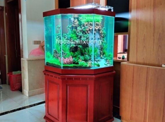 Hồ Thủy Sinh Bát Giác ( dài 1m08, 8 cạnh )