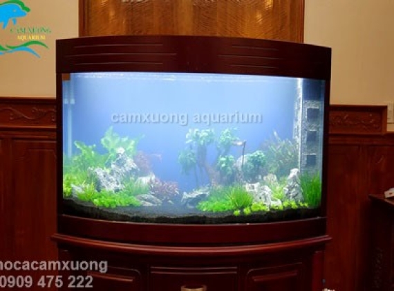 Hồ Thủy Sinh - Chị Chuyên - Phước Long - Bình Phước