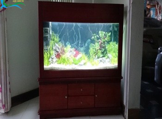 Hồ Thủy Sinh ( Chú Giang ở Phạm Ngũ Lão )