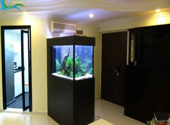 Hồ Thủy Sinh - CX 001