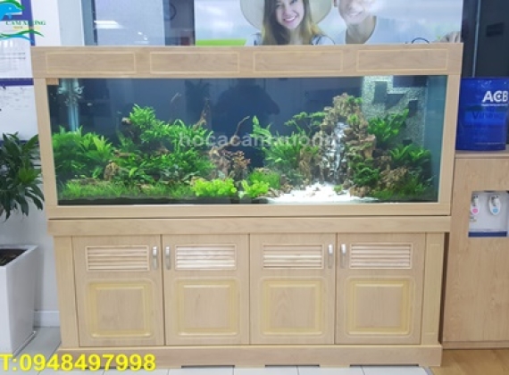 Hồ Thủy Sinh Dài 1m76 x 60 x 80