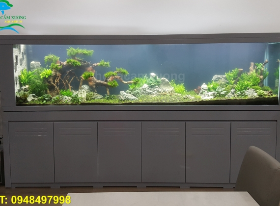 Hồ Thủy Sinh dài 3m x 60