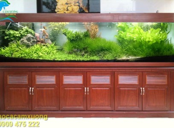 Hồ Thủy Sinh dài 3m x 60 x80