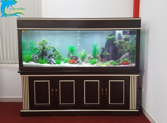 Hồ Thủy Sinh Giả ( 