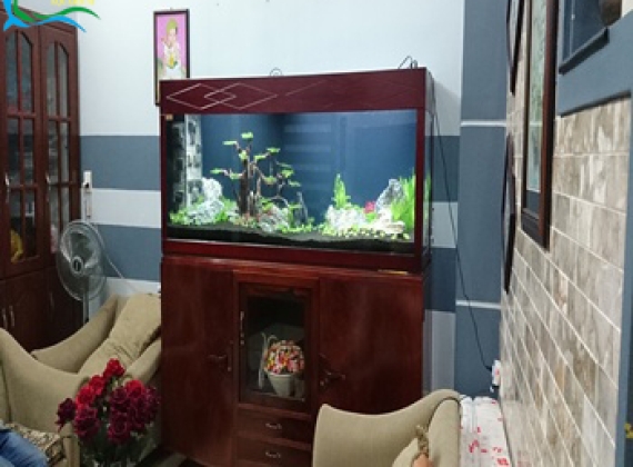 Ho Thuy Sinh ( Thuận An Lái Thiêu)